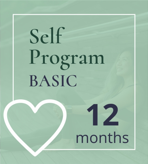 Self Program